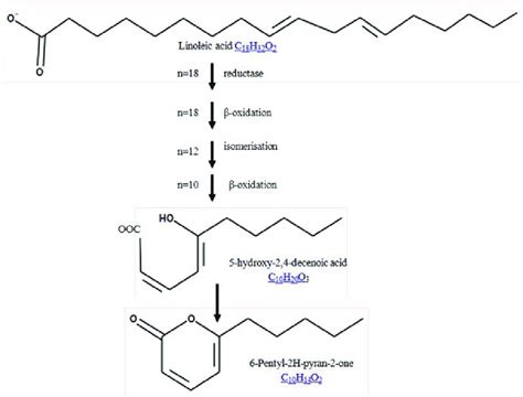 2 Hypothetical Biosynthetic Pathway Of 6pp In Trichoderma Spp