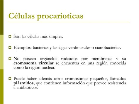 Ppt Marcela Bernal M Nera Biol Powerpoint Presentation Free