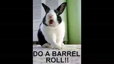 Do A Barrel Roll YouTube