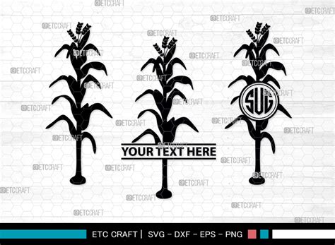 Corn Stalk SVG Monogram Corn Silhouette Graphic By ETC Craft Store