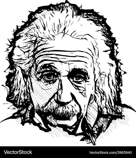 Albert einstein Royalty Free Vector Image - VectorStock