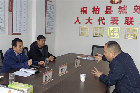 桐柏县城郊乡人大践行全过程人民民主 实现服务群众零距离 南阳人大