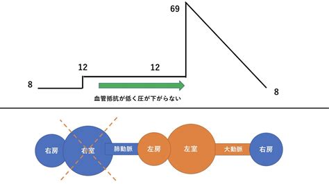 ダックス医 On Twitter 例えば極端な例だが肺血管抵抗が限りなく0だとすると、右室が悪く右房→肺動脈への圧上昇がわずかであっても