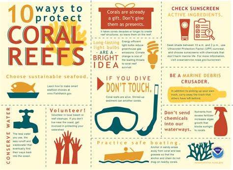 Hope For Coral Reefs Shape Of Life