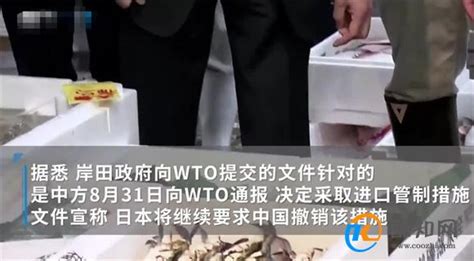 日本就中国水产品禁令向wto提交文件 中方已表明立场酷知科普