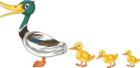 A Wild Duck With Duckling 10518321 Vector Art At Vecteezy