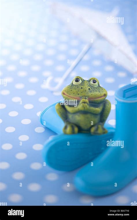 Frog ornament and rain boots Stock Photo - Alamy