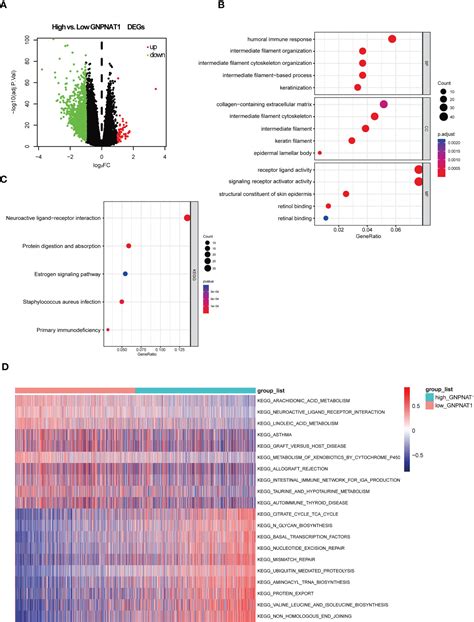 Frontiers Gnpnat Is A Potential Biomarker Correlated With Immune