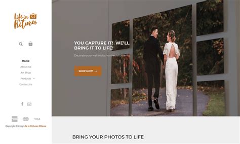 E Commerce Portfolio Online Shopping Cart Website Designs