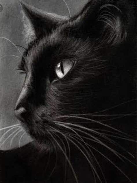 Black Cat Drawing Black Cat Art Black Cats Charcoal Drawing Cat Art