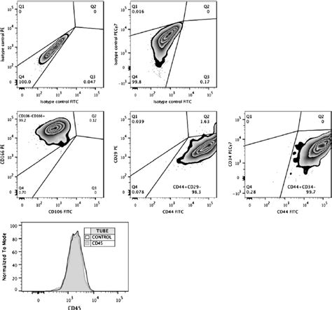 Analysis Of Phenotypic Traits Exhibited By Primary Umbilical Cord Blood