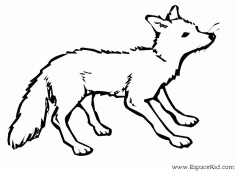 Coloriages Renard Animaux Dessins Colorier Coloriages