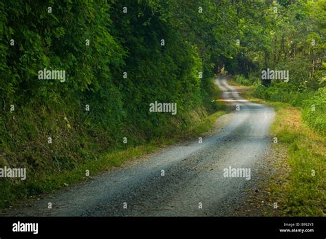 Dirt Road Through Woods Hi Res Stock Photography And Images Alamy