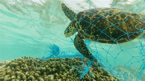 Petition · Ocean Pollution solution · Change.org