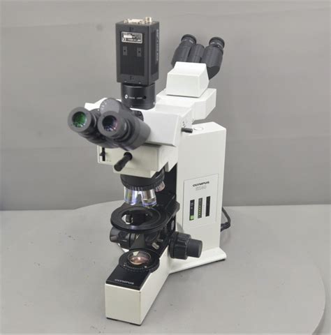 Olympus BX40 Dual Viewing Face To Face Teaching Microscope BX40F4 W