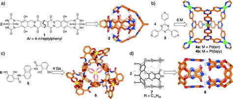 Molecules Within Molecules Recognition Through Self Assembly Pnas