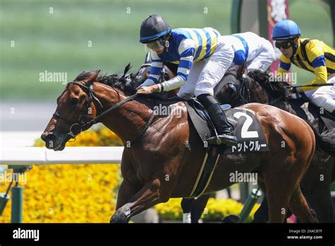 20240601 Kyoto 08r Shogoin Tokubetsu Dotto Kurumirai Iwata Jockey