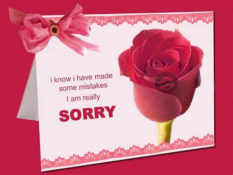 Best Sorry Cards - Famous Cards - Cool Sorry Cards- Lovely Cards