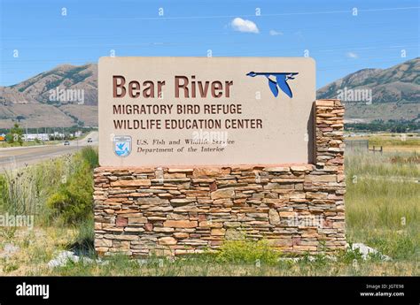 Brigham City Utah June 28 2017 Bear River Migratory Bird Refuge