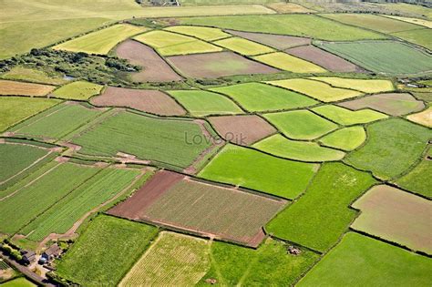 Aerial Farmland