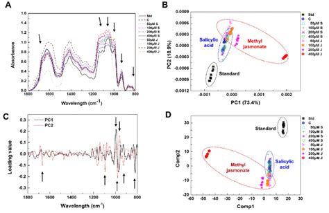 Multivariate Analysis Of Ft Ir Spectral Data From Whole Cell Extracts