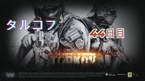 【タルコフ】44日目！！これからタルコフつづけるか？わからん！チャンネル登録4649！ Tarkov【tarkov】eft！！ タルコフ