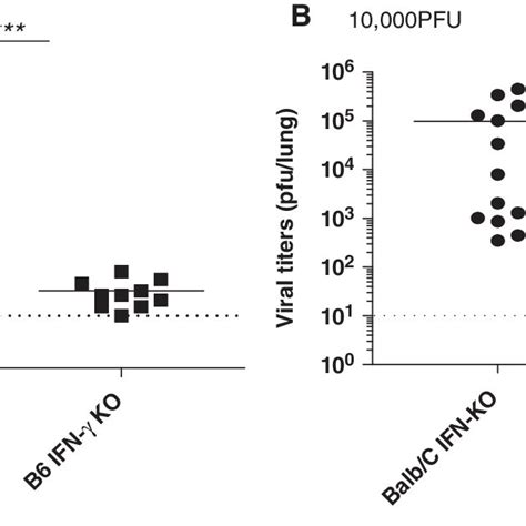 C Bl Mice Do Not Require Ifn G To Control Mhv In The Lung Mice