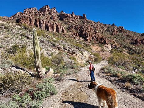 Hike The Historic Superior To Claypool Tunnel Trail