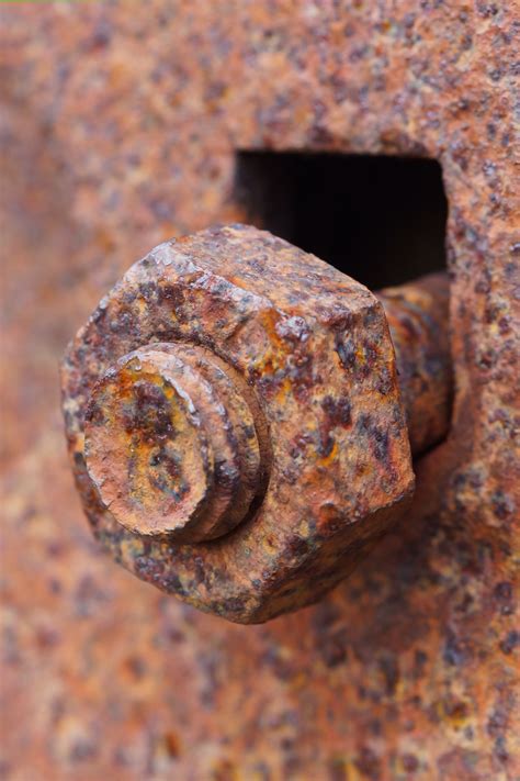 Rust Flickr