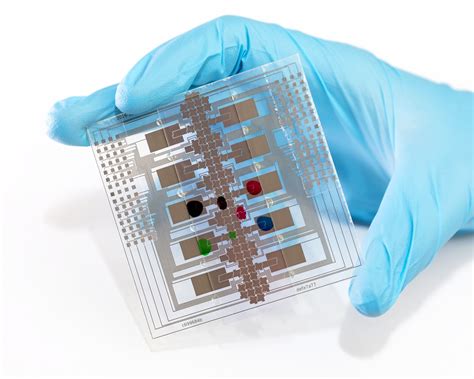 Lab On A Chip Test Could Help Prevent Disease Outbreaks In Remote