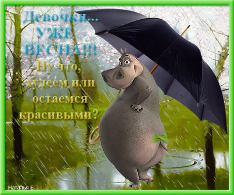 Гифки прикольные и смешные с надписями скачать бесплатно