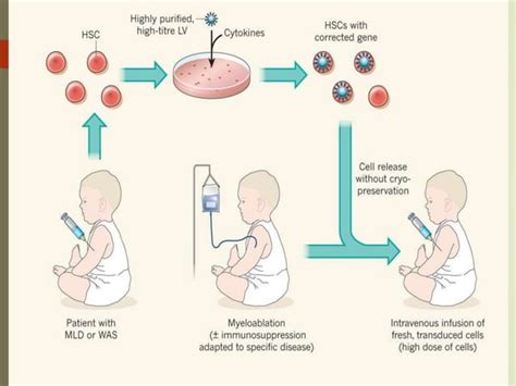 Gene therapy | PPT