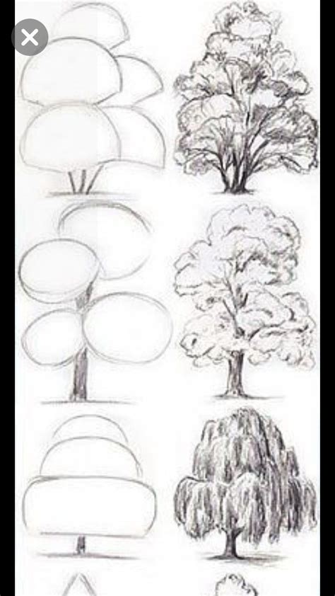 Pin By Luana Souza On Detalhe Nature Art Drawings Tree Drawings