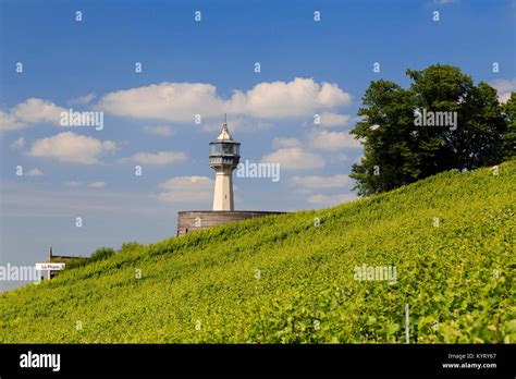 Parc Naturel Regional De La Montagne De Reims Hi Res Stock Photography