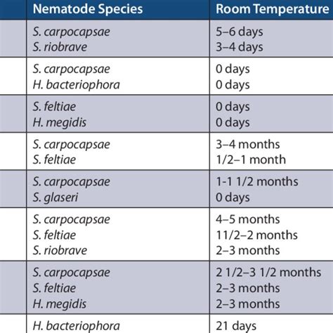 An Infective Juvenile Entomopathogenic Nematode Photo Provided By