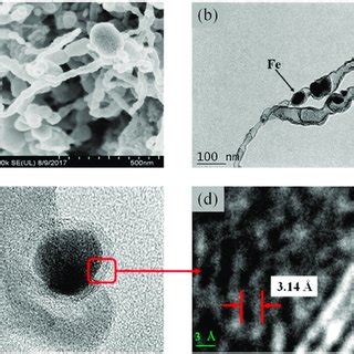 A FE SEM B FE TEM And C D HRTEM Images Of B N C Fe 700 4