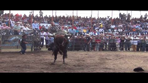 El Gorri N De Nayarit En Manzanillo Vs Toros Youtube