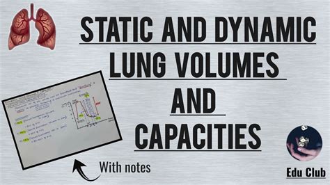 STATIC And DYNAMIC Lung Volumes And Capacities Respiratory