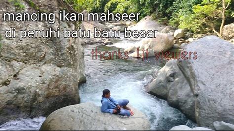 Mancing Mahseer Ikan Dewa Di Sungai Yang Jernih Youtube