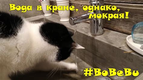 У вас из крана тоже мокрая вода течёт? - YouTube