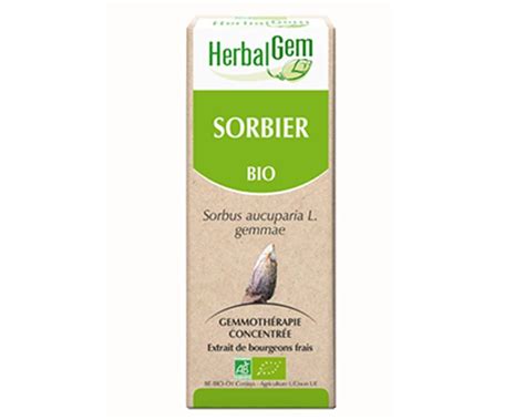 Sorbier Sorbus Aucuparia Bourgeon Bio Herbalgem Ml