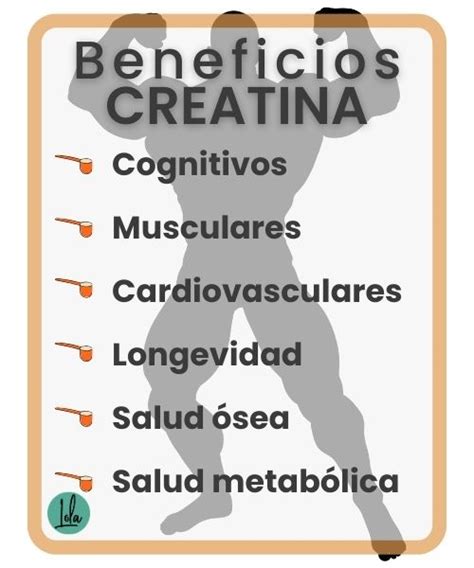 Beneficios De La Creatina Por Qu Utilizarla