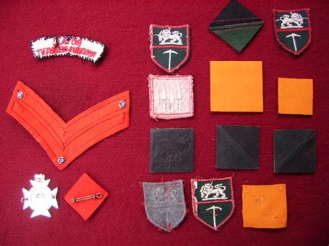 Other Badges & Insignia - A COLLECTION OF RHODESIAN ARMY-CLOTH INSIGNIA ...