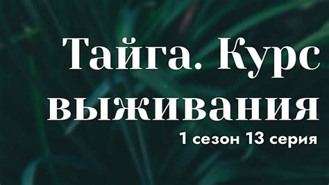podcast: Тайга. Курс выживания - 1 сезон 13 серия - сериальный онлайн ...