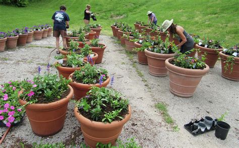 Flowers To Beautify Main Street Thanks To Edwardsville Green Thumbs