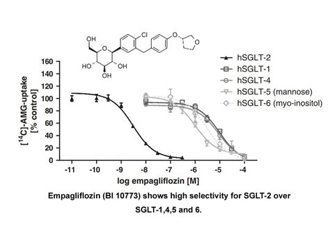 美国APExBIO中文官网 DiscoveryProbe GPCR Compound Library