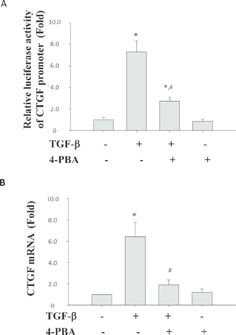 Pba Inhibited Tgf Induced Ctgf Promoter Activity And Ctgf Mrna