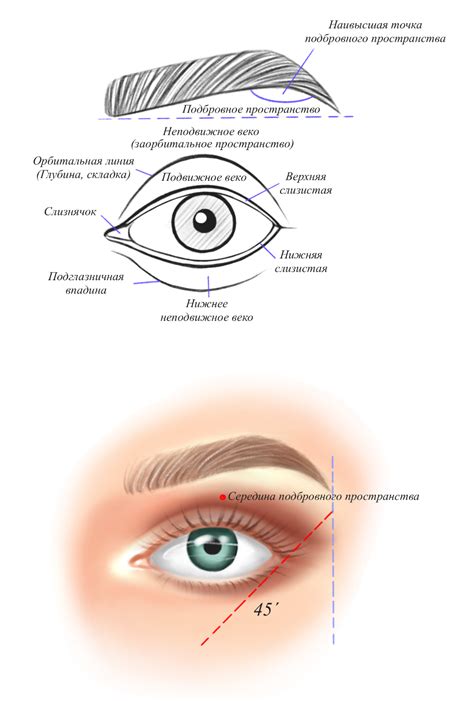 Pro Makeup Korolkova Pmd Microblading Eyebrows