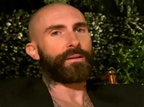 Adam Levine debuts shaved head in Nobody s Love -ANI - BW Businessworld