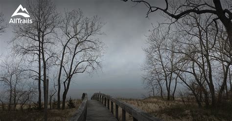 Best Hikes And Trails In Lakeview Wildlife Management Area Alltrails